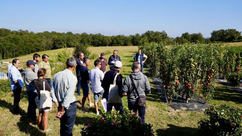 Durant la journée “Légumes by Syngenta Flowers” au Ratho, les discussions ont abordé aussi bien les variétés que les informations techniques, en passant par le marketing et les remarques culinaires. ©Syngenta